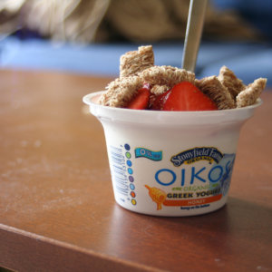 Danone Stoneyfield Yogurt