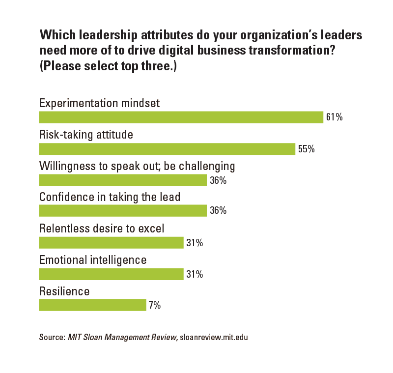 Risk Taking Leads to Digital Success