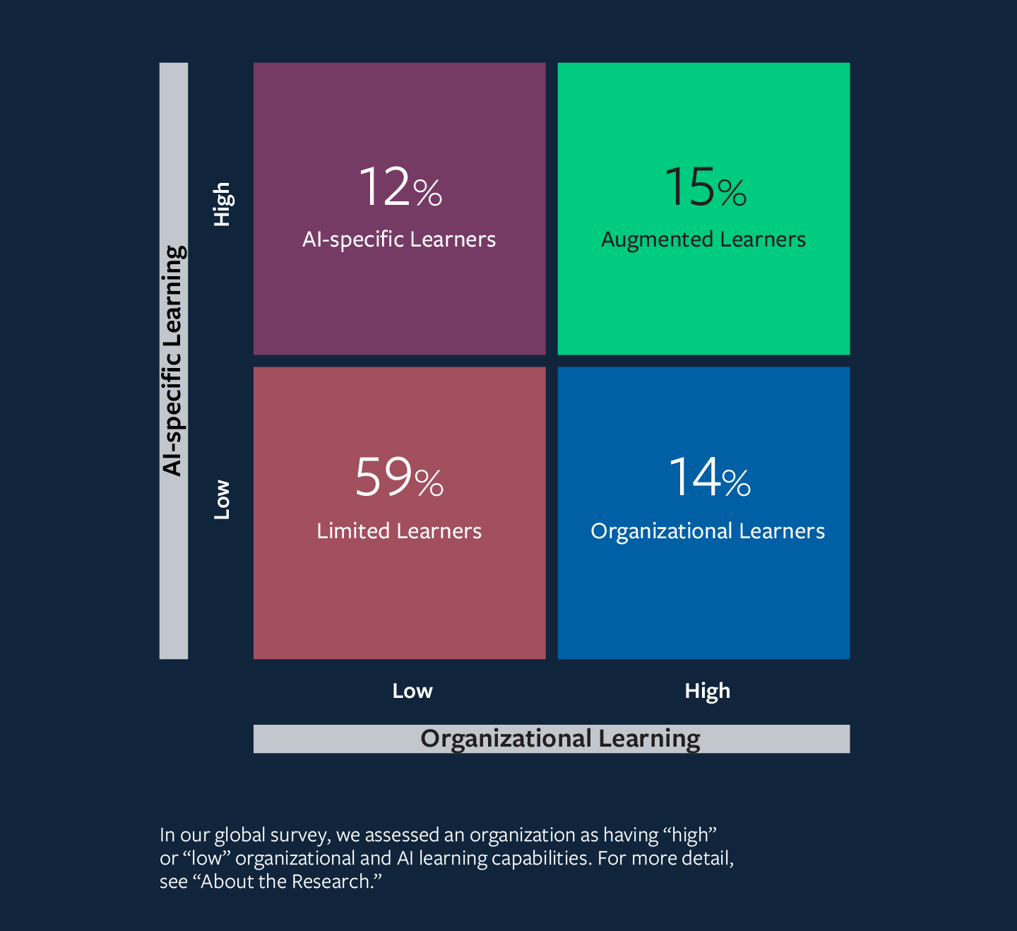 Matrix chart depicting AI-specific vs. organizational learning: 12% AI-specific learners, 15% augmented learners, 59% limited learners, 14% organizational learners.